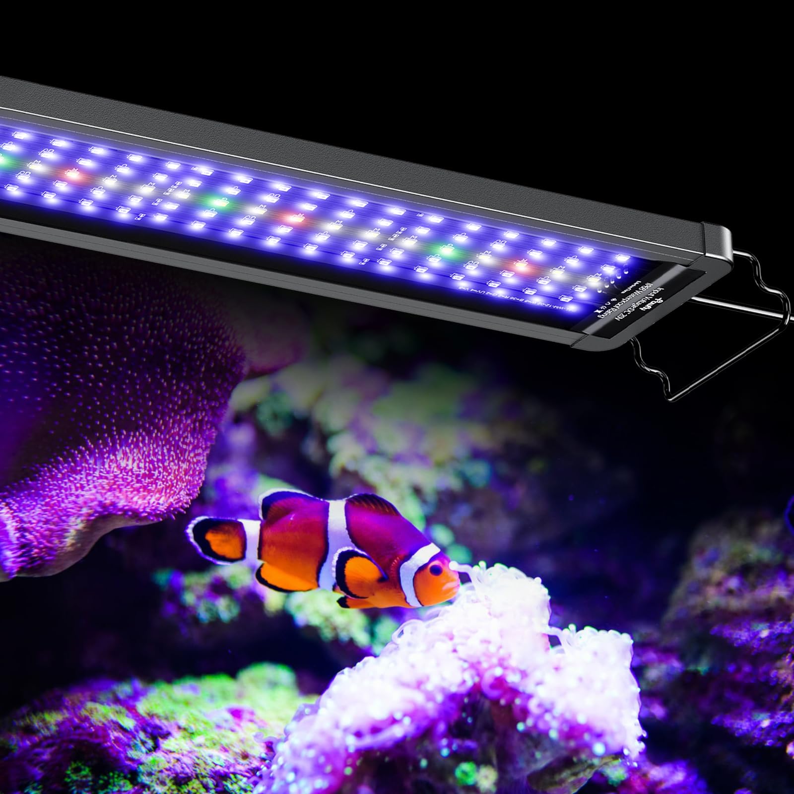 Amazon.com : Pawfly 48W Saltwater Aquarium Light for 48